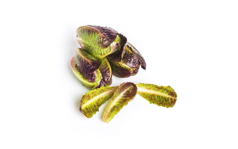 Ruby Ro-minis Romaine Lettuce