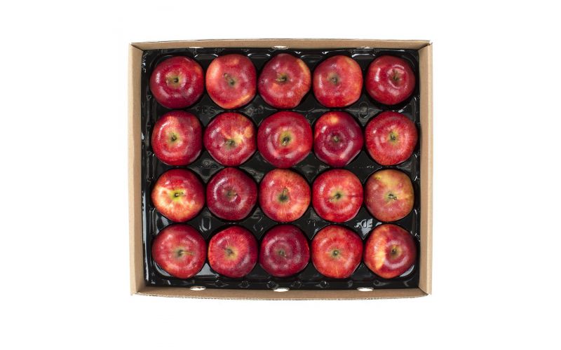 Panta-Pack Red Delicious Apples
