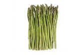 Standard Asparagus