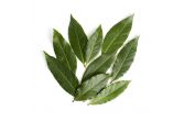 Bay Leaves
