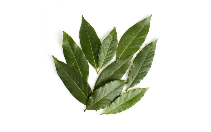 Bay Leaves