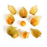 Cape Gooseberries