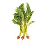 Baby Golden Beets