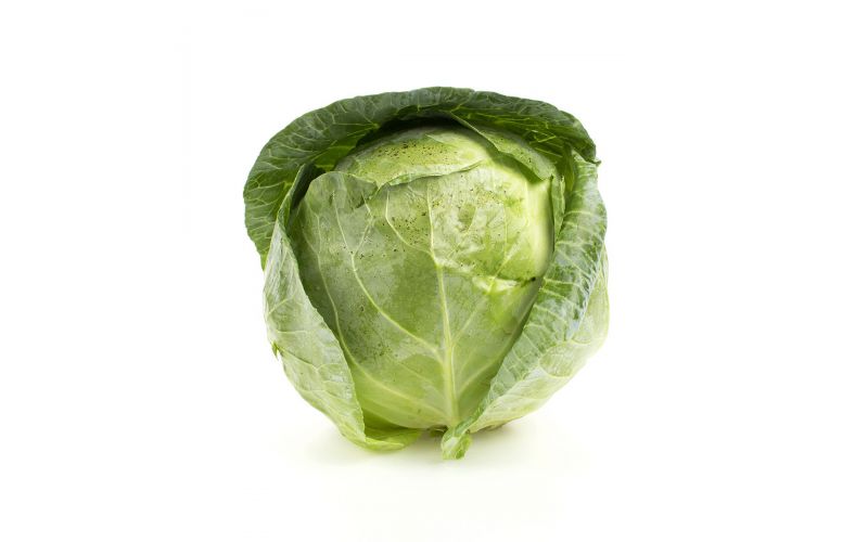 Green Cabbage
