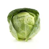 Green Cabbage