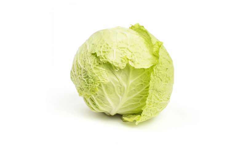 Savoy Cabbage