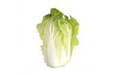 Napa Cabbage