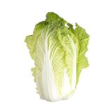 Napa Cabbage