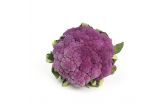Purple Cauliflower