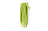 Celery