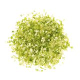 1/4in Chopped Celery