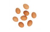 Organic Cage Free Large Brown Shell Eggs Carton