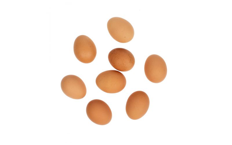 Organic Cage Free Large Brown Shell Eggs Carton