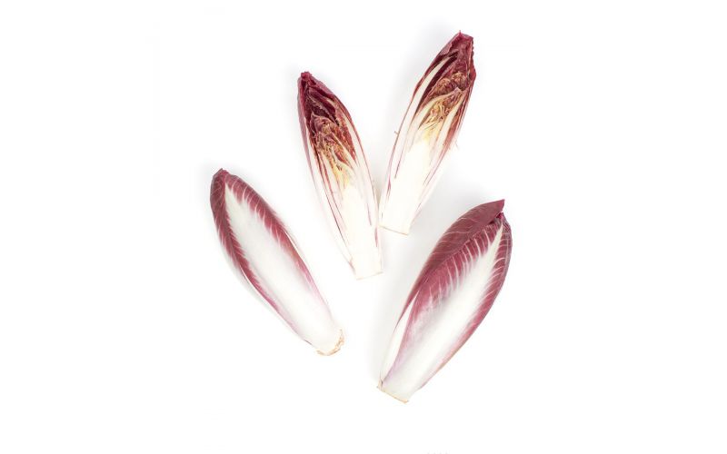 Red Endive