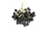 Large Black Seedless Grapes