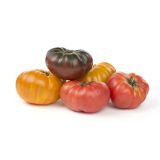 Heirloom Tomatoes