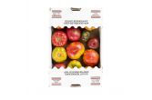 Heirloom Tomatoes