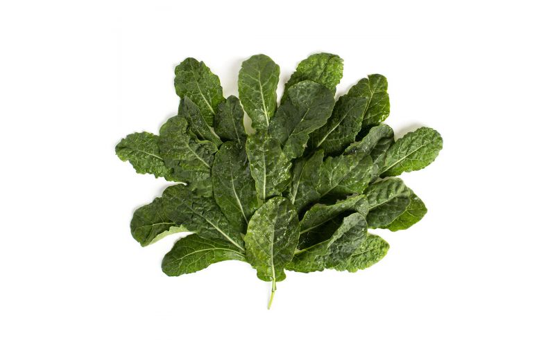 Baby Lacinato Kale