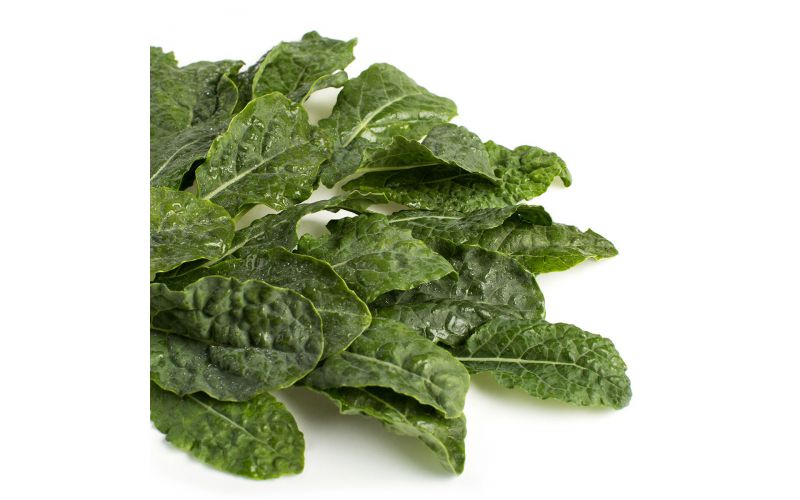 Baby Lacinato Kale