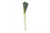 Holland Style Long Leeks