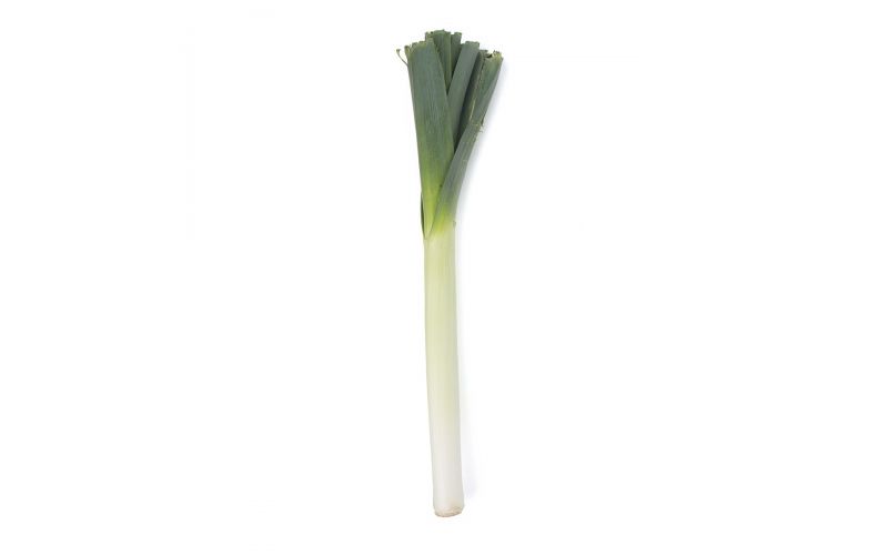 Holland Style Long Leeks