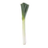 Holland Style Long Leeks