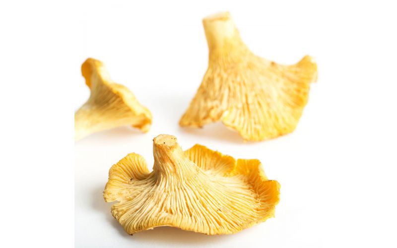 Chanterelle Mushrooms