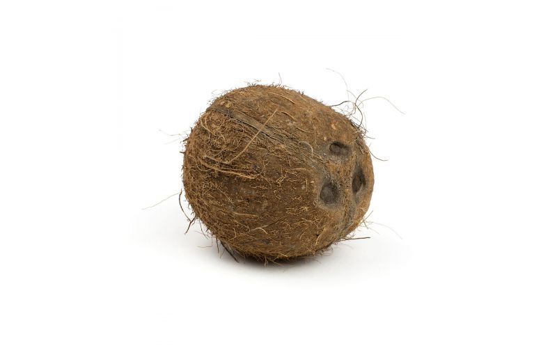 Brown Coconuts