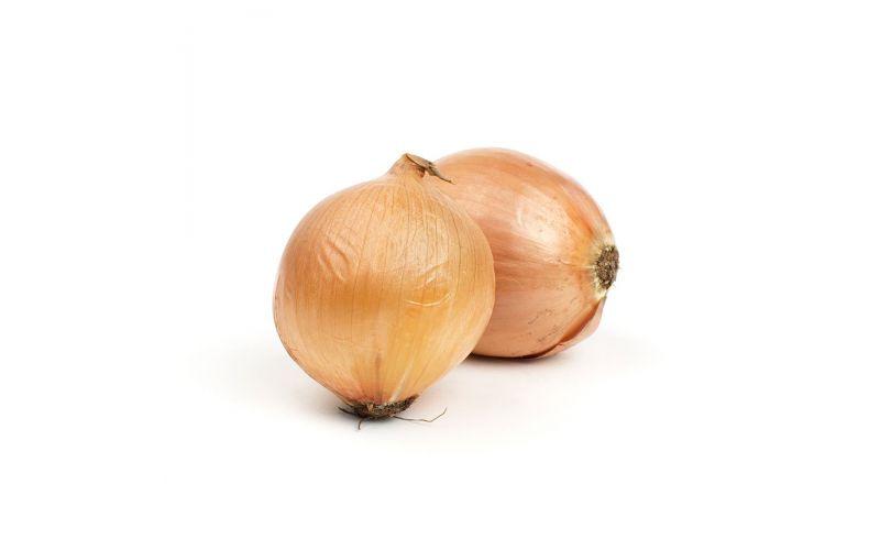 Spanish Onions