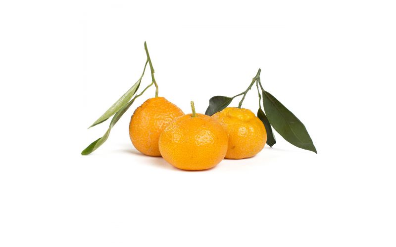 Stem and Leaf Satsuma Mandarins