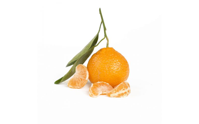Stem and Leaf Satsuma Mandarins