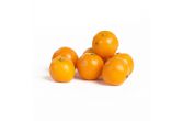 Calamondin