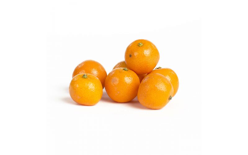 Calamondin