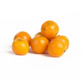 Calamondin