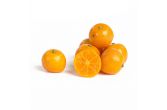 Calamondin
