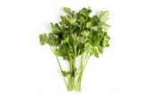 Italian Parsley
