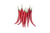 Red Long Hot Peppers