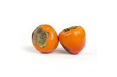 Hachiya Persimmons
