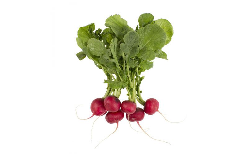 Bunched Radishes