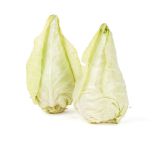 Organic Caraflex Cabbage