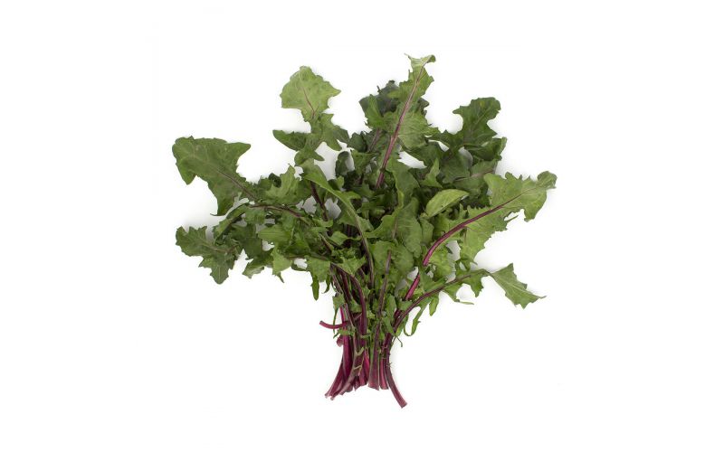 Organic Red Dandelion