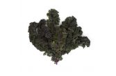Organic Red Kale
