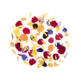Confetti Flowers