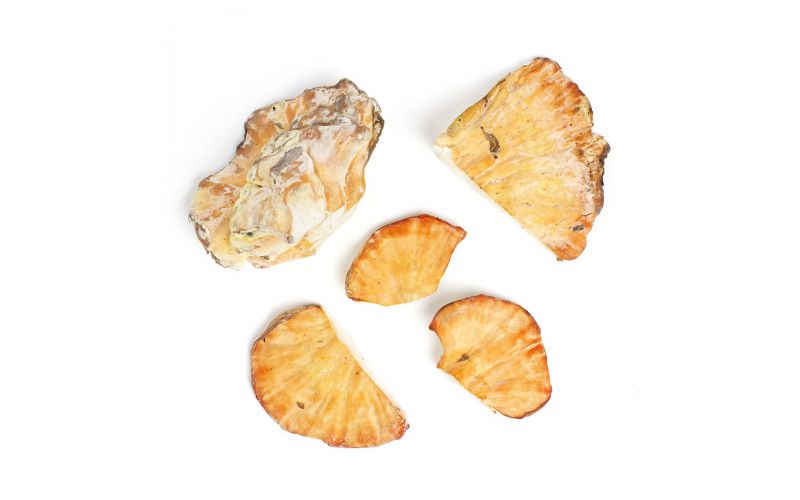 Chicken of the Woods Mushrooms