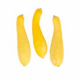 Fancy Yellow Squash