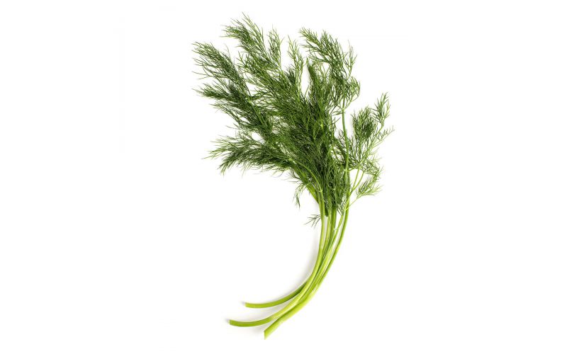 Extra Fancy Dill
