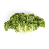 Escarole