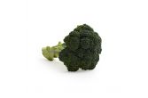 Organic Broccoli