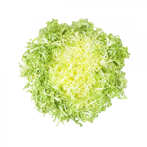 Full Blanched Circus Frisee