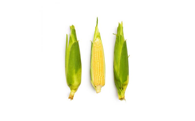 Yellow Corn